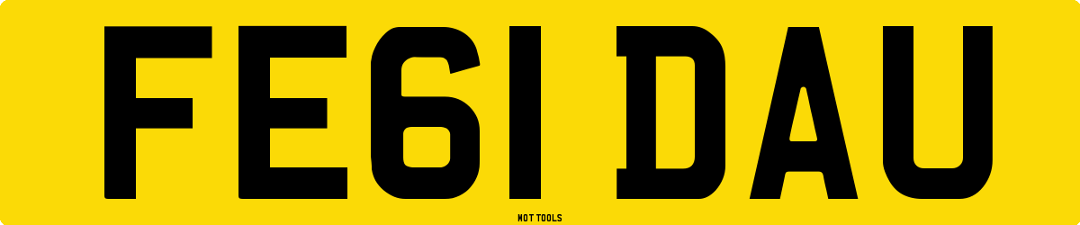 FE61DAU MOT Check