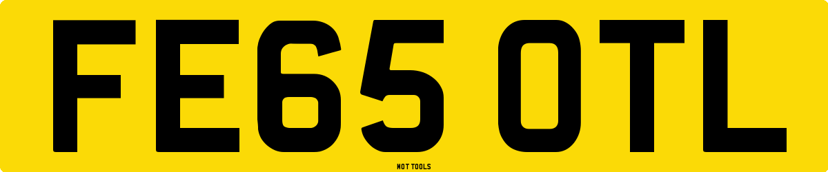 FE65OTL MOT Check