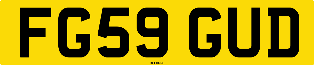 FG59GUD MOT Check