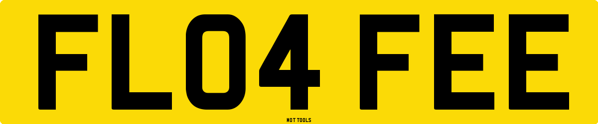 FL04FEE MOT Check