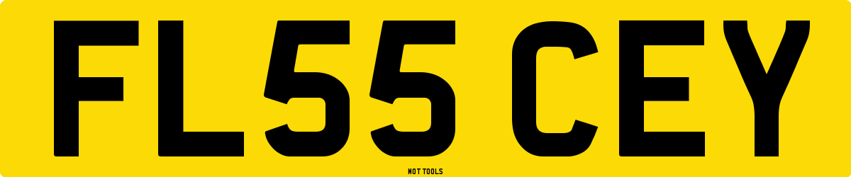 FL55CEY MOT Check