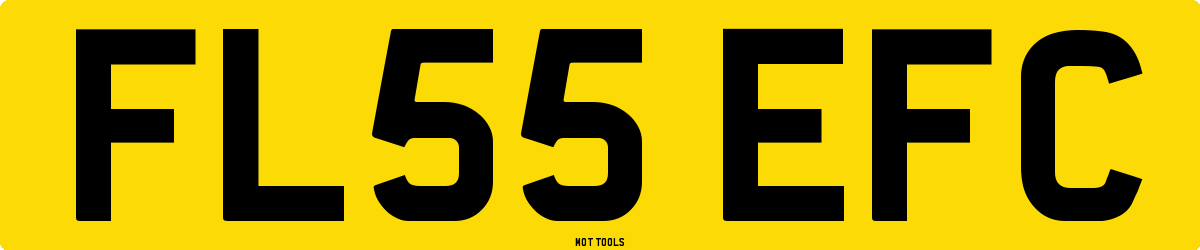 FL55EFC MOT Check