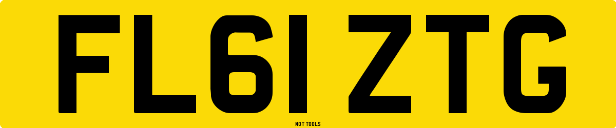 FL61ZTG MOT Check