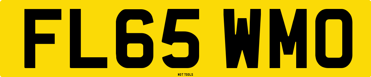 FL65WMO MOT Check