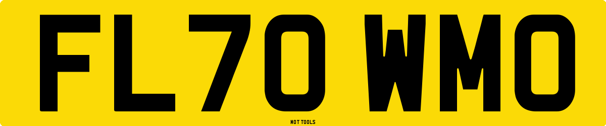 FL70WMO MOT Check