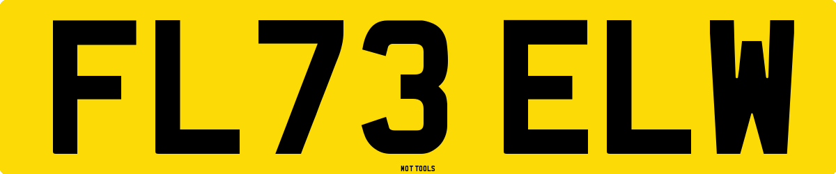 FL73ELW MOT Check