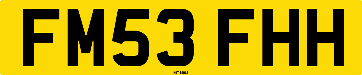 FM53FHH MOT Check