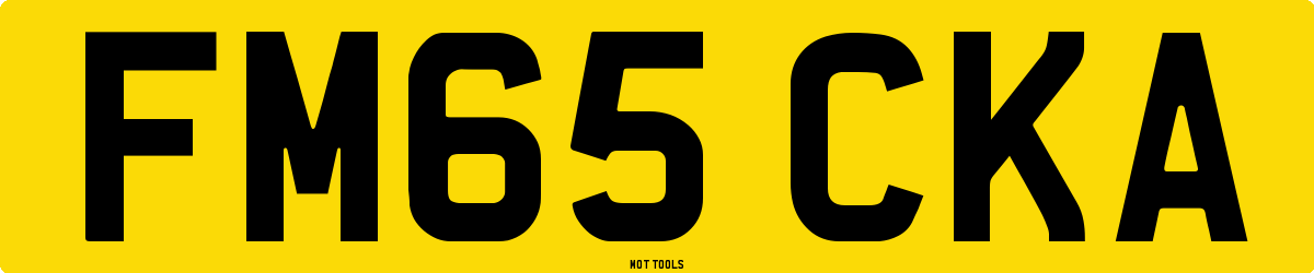 FM65CKA MOT Check