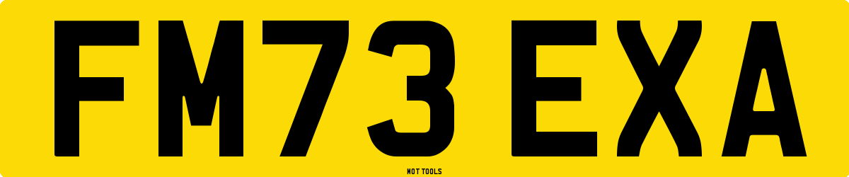 FM73EXA MOT Check