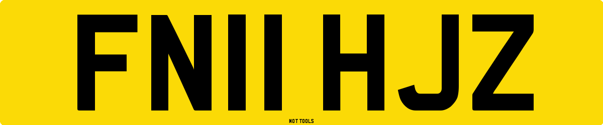 FN11HJZ MOT Check