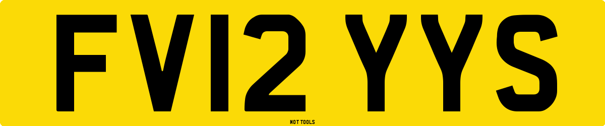 FV12YYS MOT Check