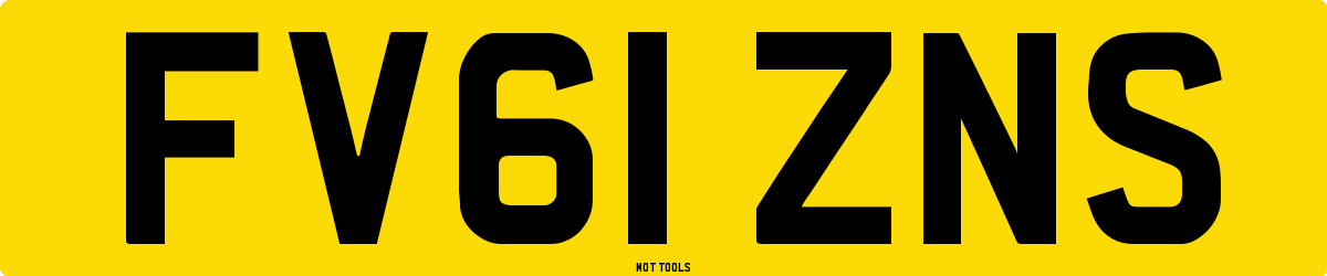 FV61ZNS MOT Check