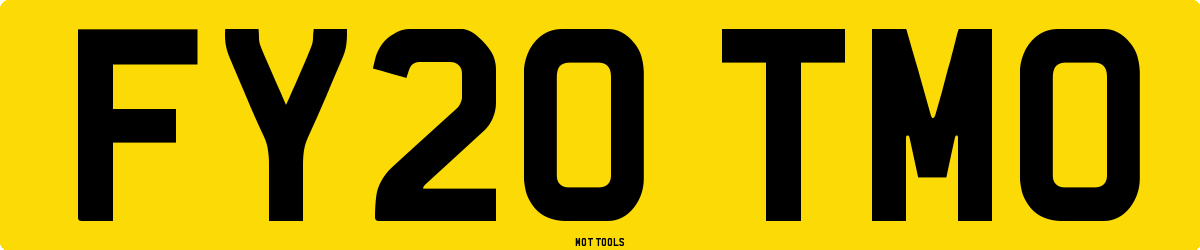 FY20TMO MOT Check