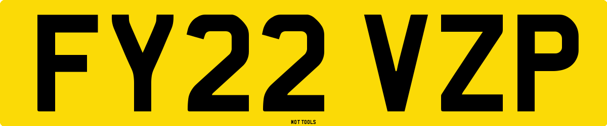 FY22VZP MOT Check