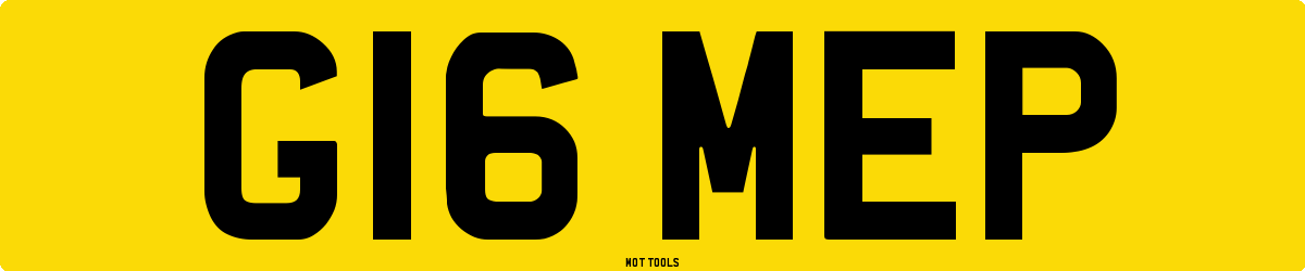 G16MEP MOT Check
