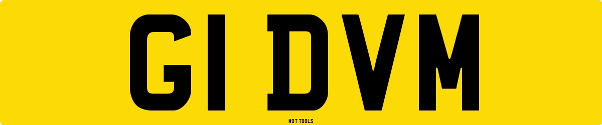 G1DVM MOT Check