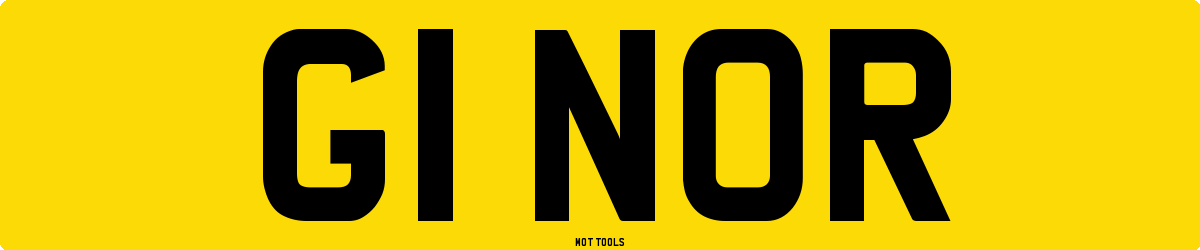 G1NOR MOT Check