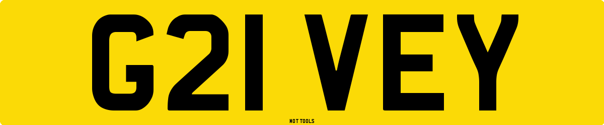 G21VEY MOT Check
