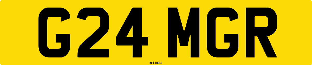 G24MGR MOT Check