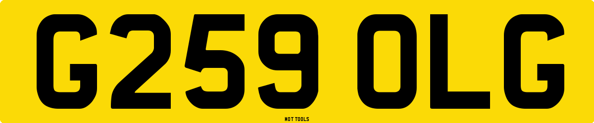 G259OLG MOT Check