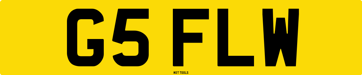 G5FLW MOT Check