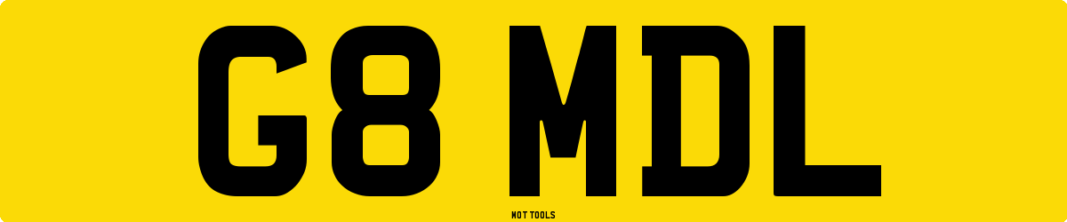 G8MDL MOT Check