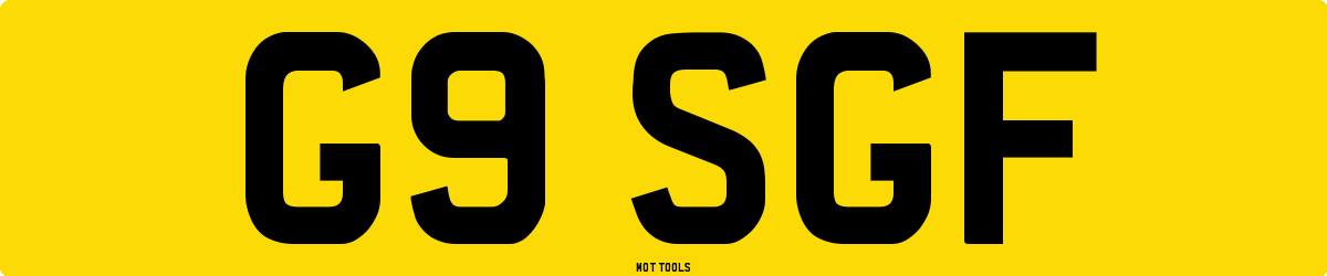 G9SGF MOT Check