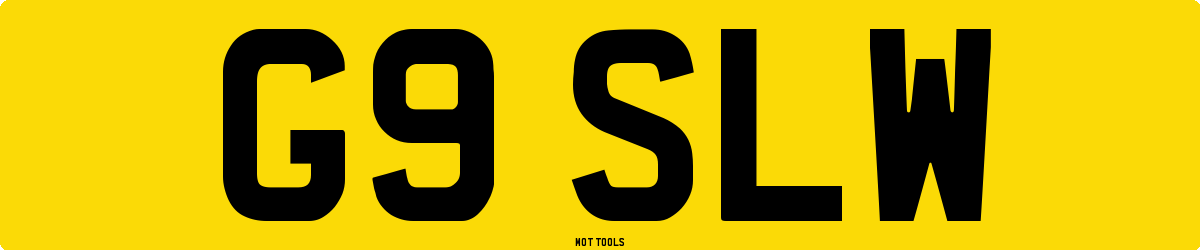 G9SLW MOT Check