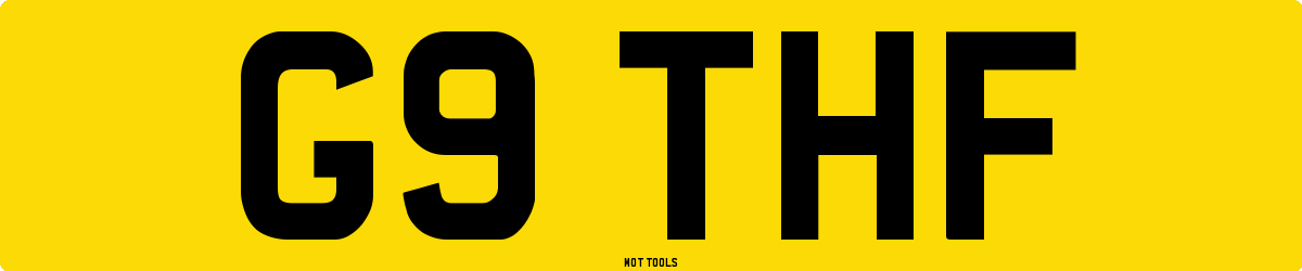 G9THF MOT Check