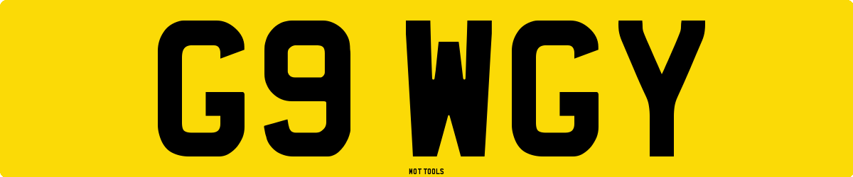 G9WGY MOT Check