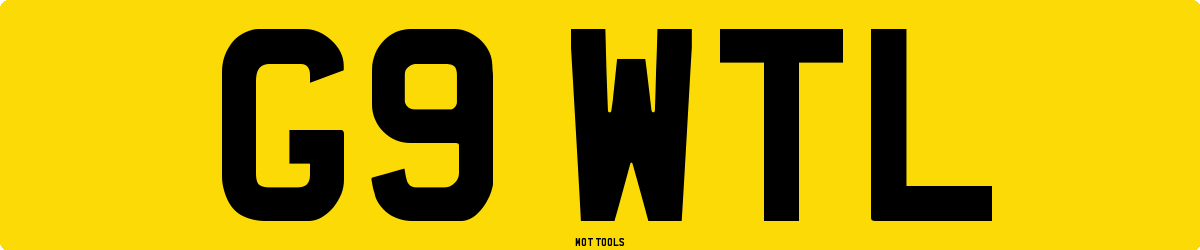 G9WTL MOT Check