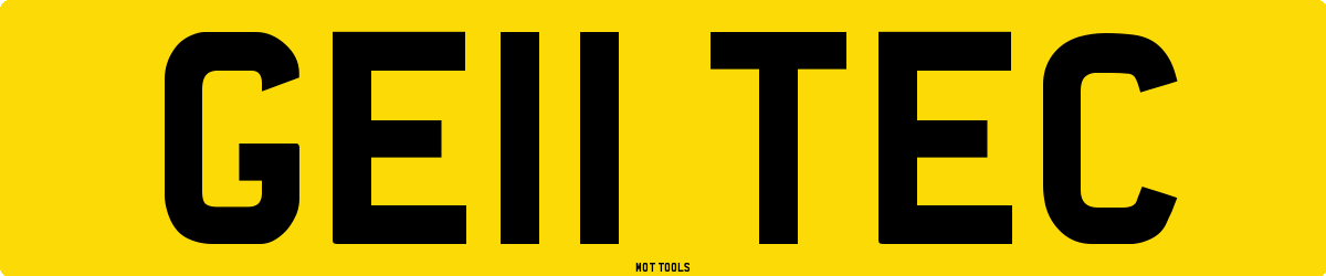 GE11TEC MOT Check