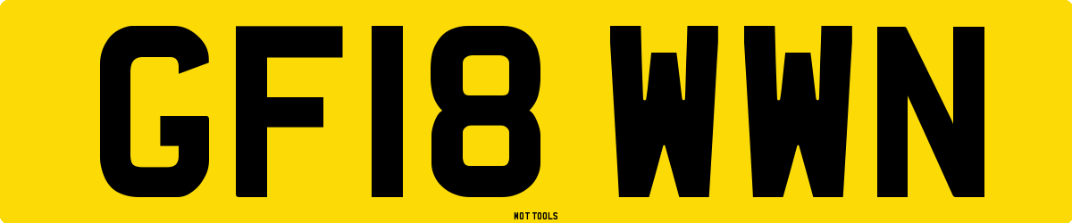 GF18WWN MOT Check