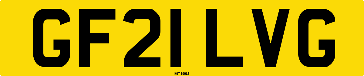 GF21LVG MOT Check