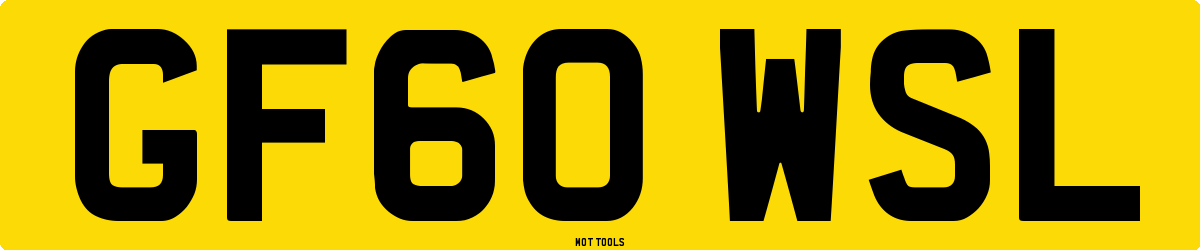 GF60WSL MOT Check