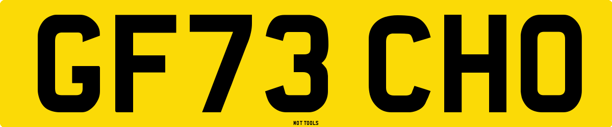 GF73CHO MOT Check