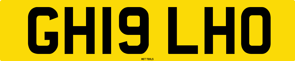 GH19LHO MOT Check