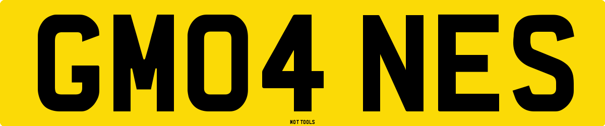 GM04NES MOT Check