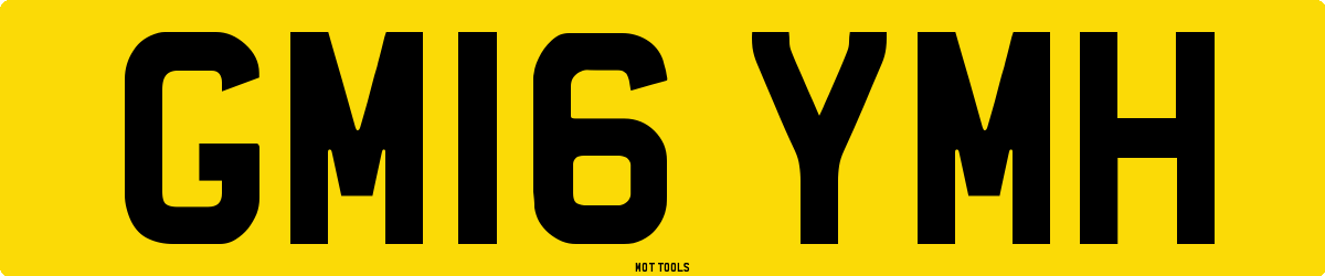 GM16YMH MOT Check