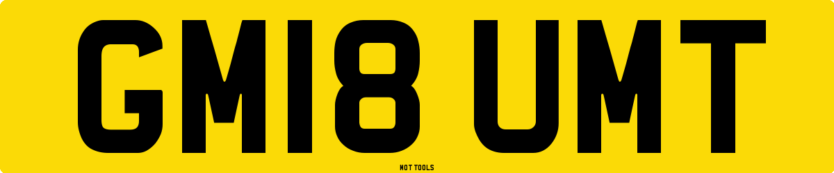 GM18UMT MOT Check