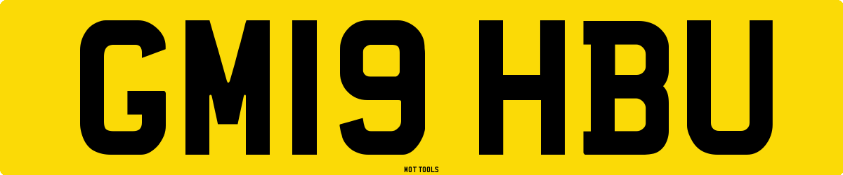 GM19HBU MOT Check