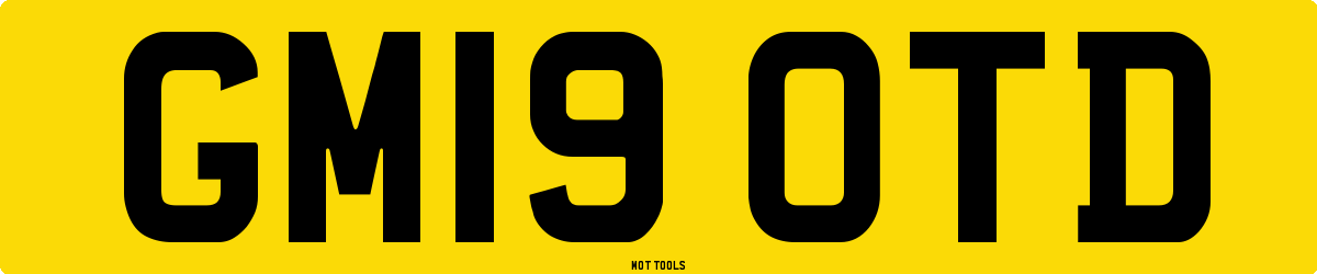 GM19OTD MOT Check