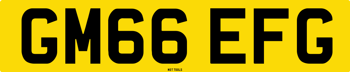 GM66EFG MOT Check