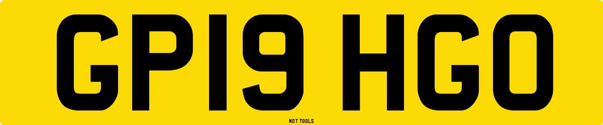 GP19HGO MOT Check