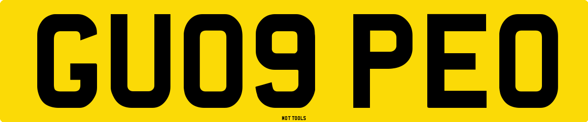 GU09PEO MOT Check