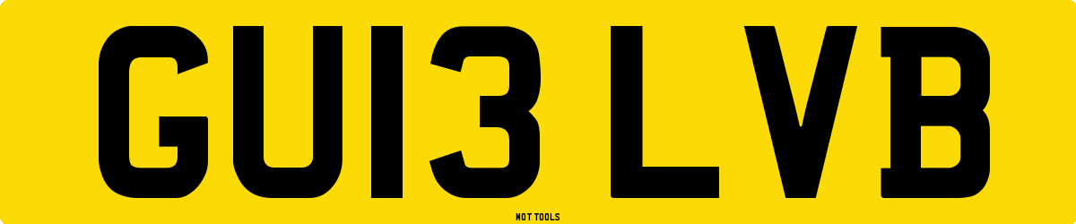 GU13LVB MOT Check