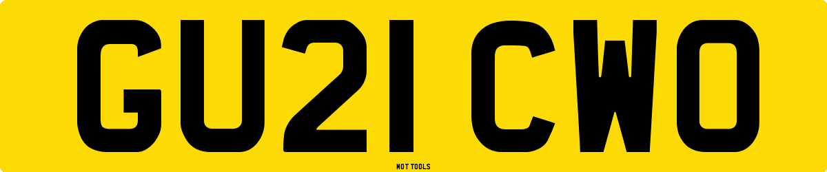 GU21CWO MOT Check
