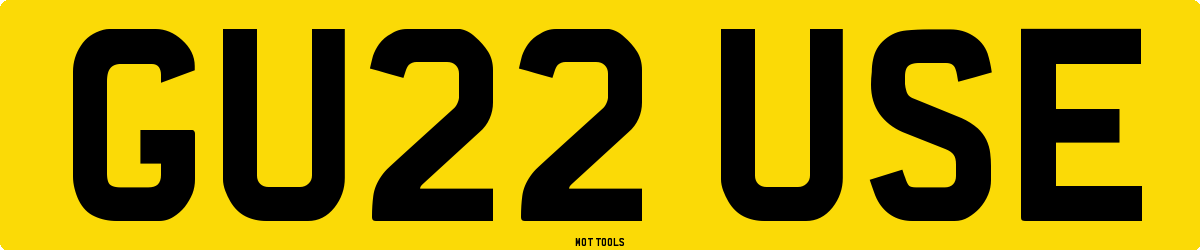 GU22USE MOT Check