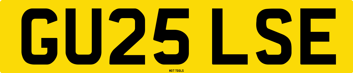 GU25LSE MOT Check