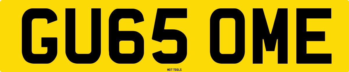 GU65OME MOT Check